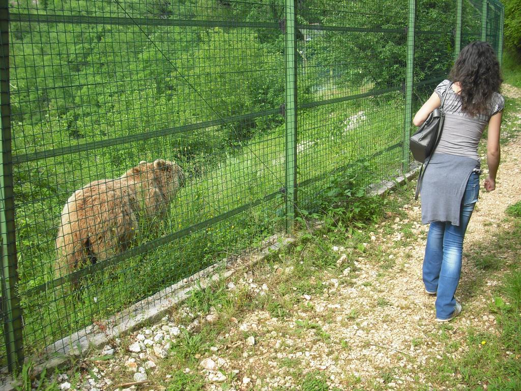 La Casa Sul Lago Posta Fibreno Eksteriør bilde