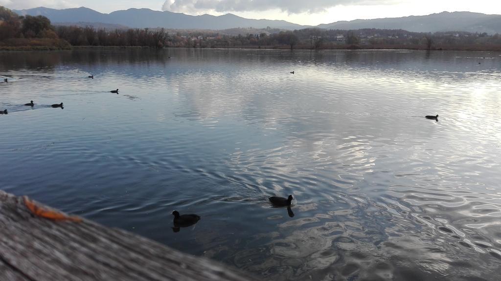 La Casa Sul Lago Posta Fibreno Eksteriør bilde