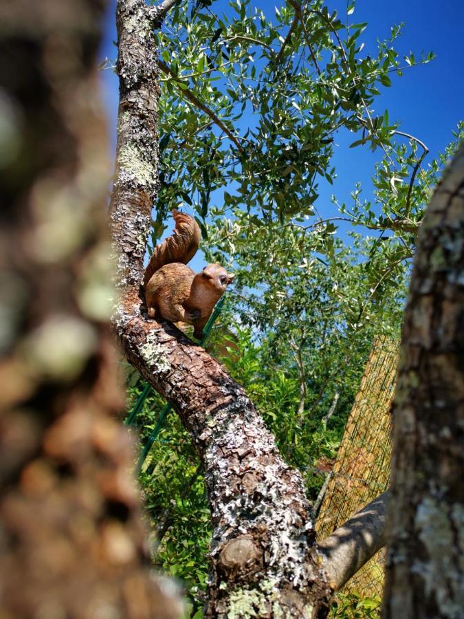 La Casa Sul Lago Posta Fibreno Eksteriør bilde